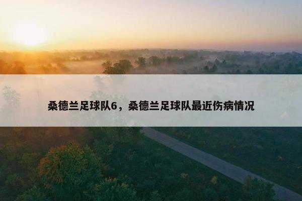 桑德兰足球队6,桑德兰足球队最近伤病情况