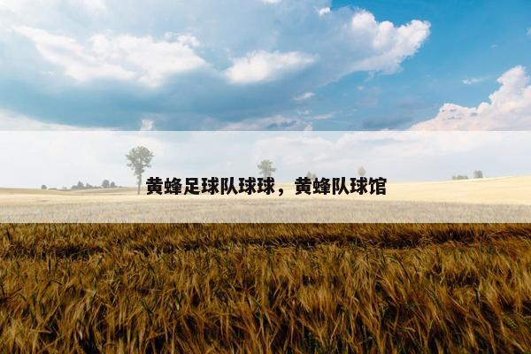 黄蜂足球队球球，黄蜂队球馆