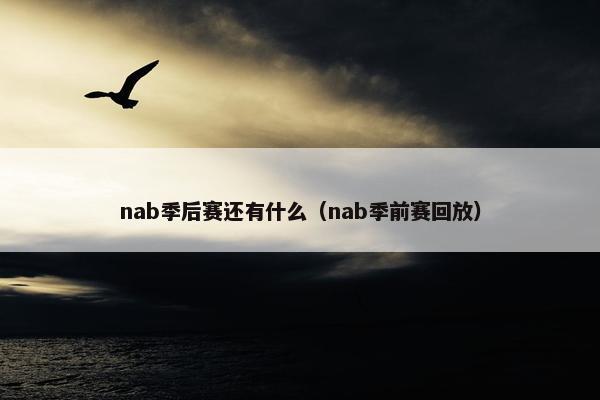nab季后赛还有什么（nab季前赛回放）