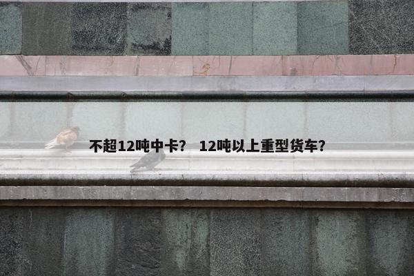 不超12吨中卡？ 12吨以上重型货车？