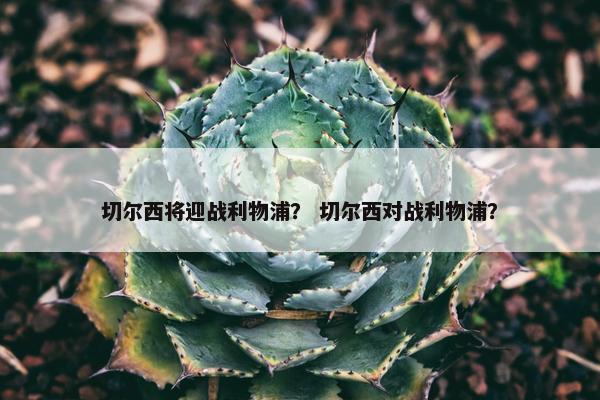 切尔西将迎战利物浦？ 切尔西对战利物浦？