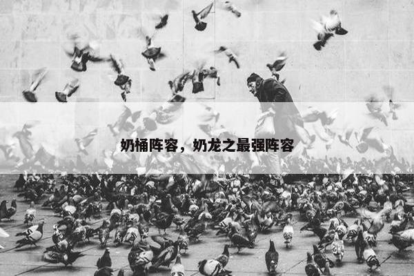 奶桶阵容，奶龙之最强阵容