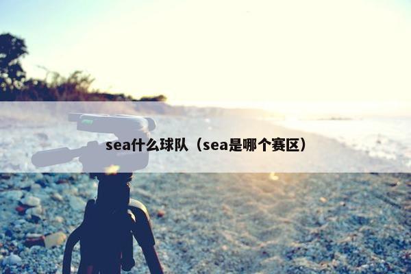 sea什么球队（sea是哪个赛区）