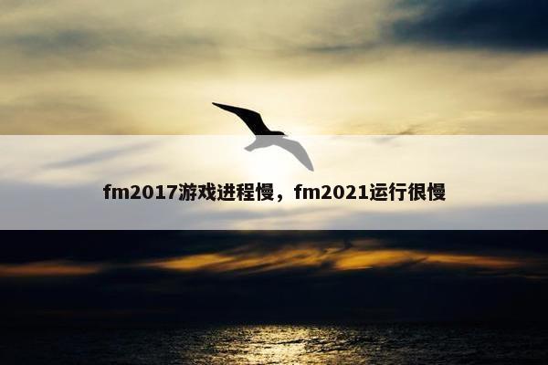 fm2017游戏进程慢，fm2021运行很慢