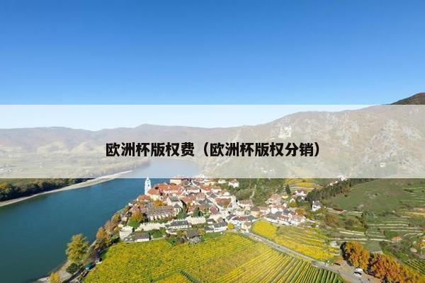 欧洲杯版权费（欧洲杯版权分销）