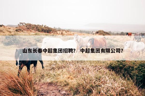 山东长春中超集团招聘？ 中超集团有限公司？