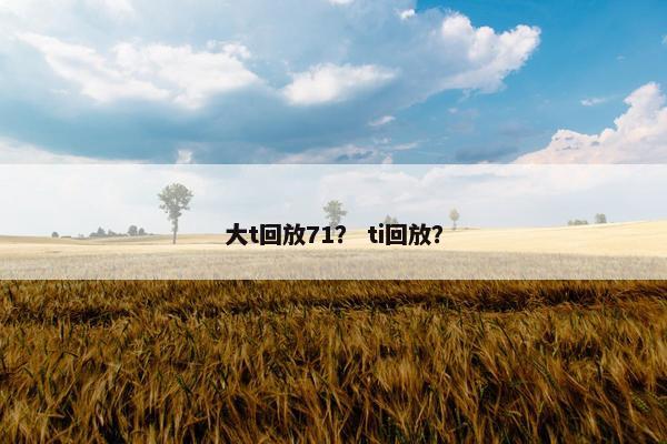 大t回放71? ti回放?