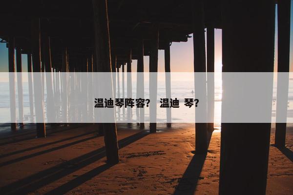 温迪琴阵容？ 温迪 琴？