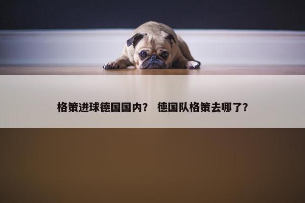格策进球德国国内？ 德国队格策去哪了？