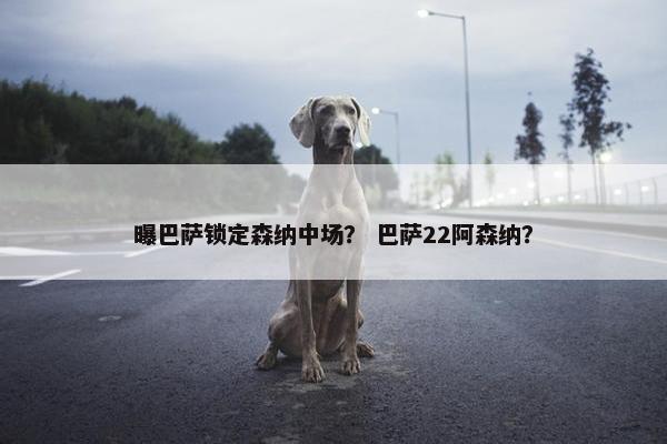 曝巴萨锁定森纳中场？ 巴萨22阿森纳？