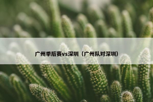 广州季后赛vs深圳(广州队对深圳)