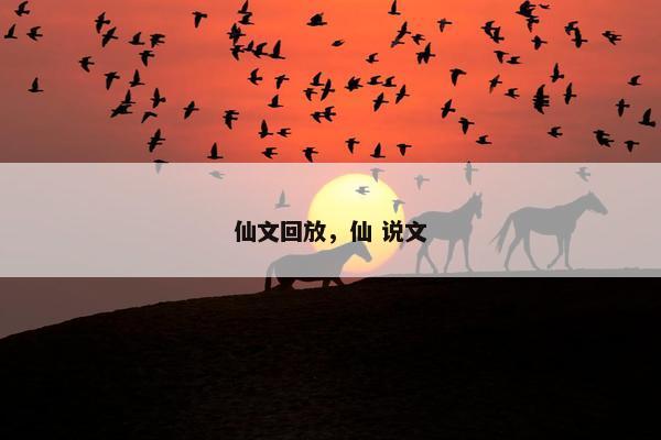 仙文回放，仙 说文