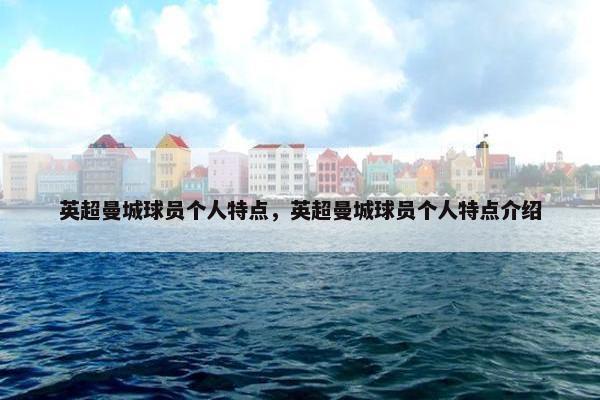 英超曼城球员个人特点，英超曼城球员个人特点介绍