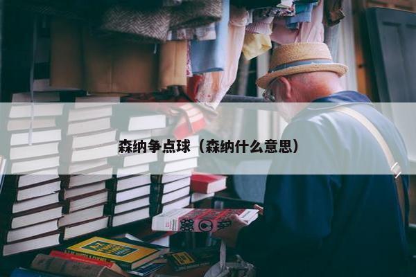 森纳争点球（森纳什么意思）