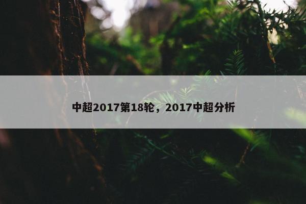 中超2017第18轮，2017中超分析