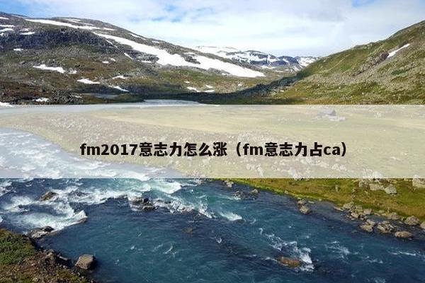 fm2017意志力怎么涨（fm意志力占ca）