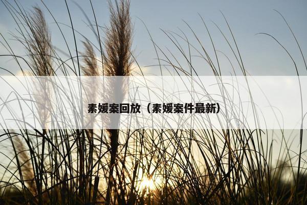 素媛案回放（素媛案件最新）
