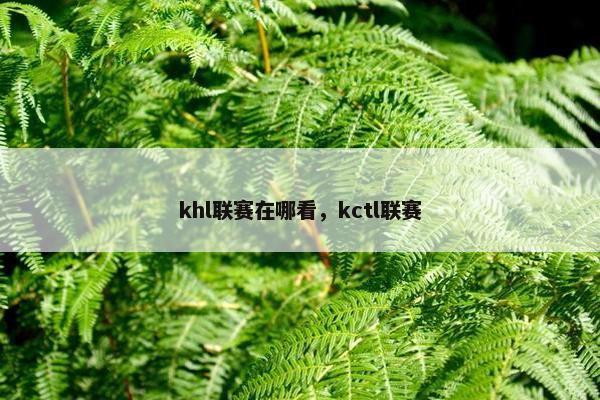 khl联赛在哪看，kctl联赛