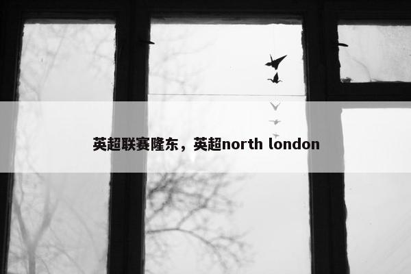 英超联赛隆东，英超north london