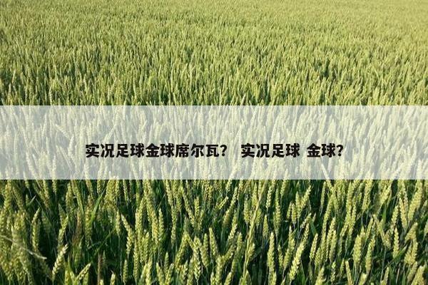 实况足球金球席尔瓦？ 实况足球 金球？