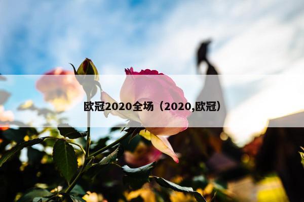 欧冠2020全场（2020,欧冠）