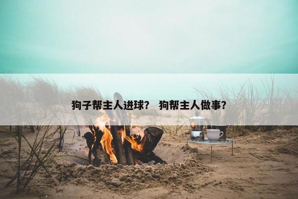 狗子帮主人进球？ 狗帮主人做事？