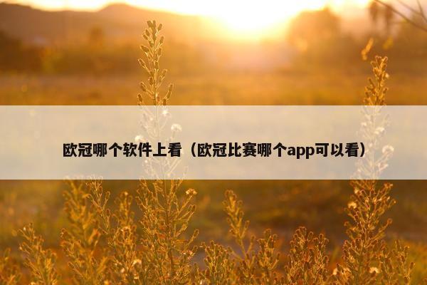 欧冠哪个软件上看（欧冠比赛哪个app可以看）