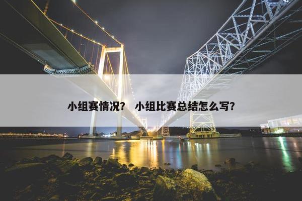 小组赛情况？ 小组比赛总结怎么写？