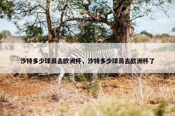 沙特多少球员去欧洲杯，沙特多少球员去欧洲杯了