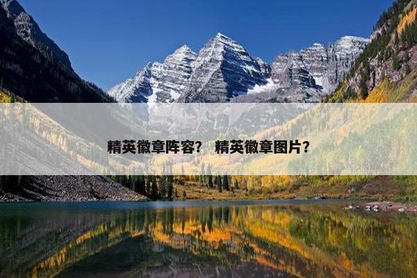 精英徽章阵容？ 精英徽章图片？
