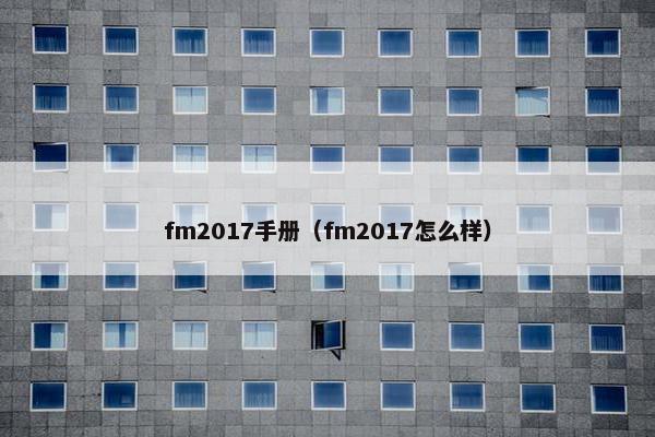 fm2017手册（fm2017怎么样）