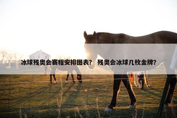 冰球残奥会赛程安排图表？ 残奥会冰球几枚金牌？
