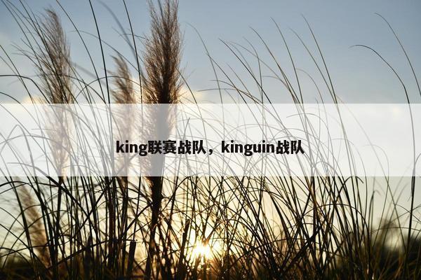 king联赛战队，kinguin战队