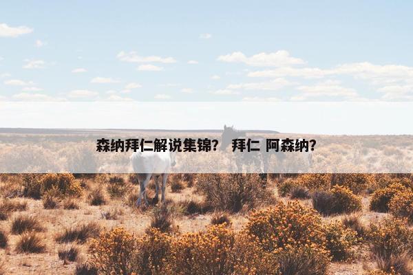森纳拜仁解说集锦？ 拜仁 阿森纳？