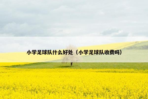 小学足球队什么好处（小学足球队收费吗）