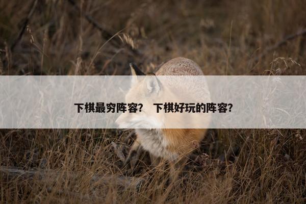 下棋最穷阵容？ 下棋好玩的阵容？