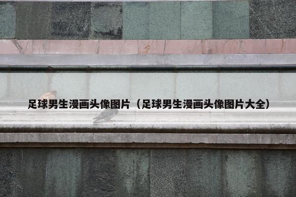 足球男生漫画头像图片(足球男生漫画头像图片大全)