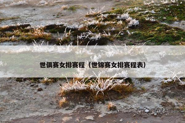 世俱赛女排赛程(世锦赛女排赛程表)