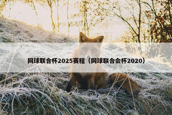 网球联合杯2025赛程(网球联合会杯2020)