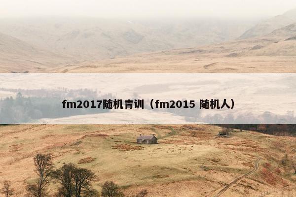 fm2017随机青训(fm2015 随机人)