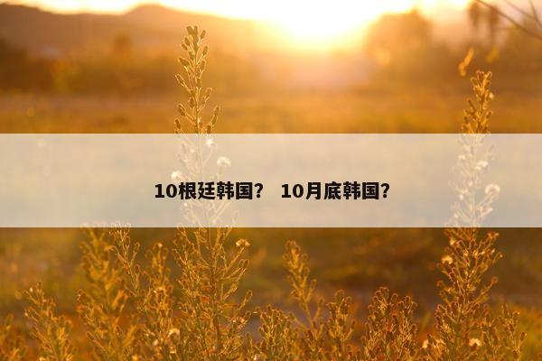 10根廷韩国? 10月底韩国? 10根廷韩国? 10月底韩国?