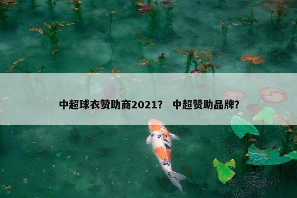 中超球衣赞助商2021? 中超赞助品牌?
