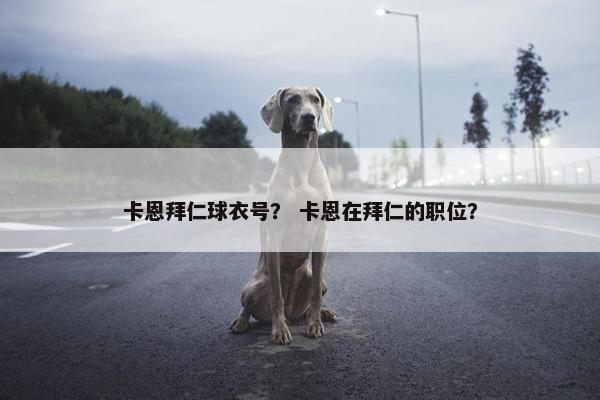 卡恩拜仁球衣号? 卡恩在拜仁的职位?