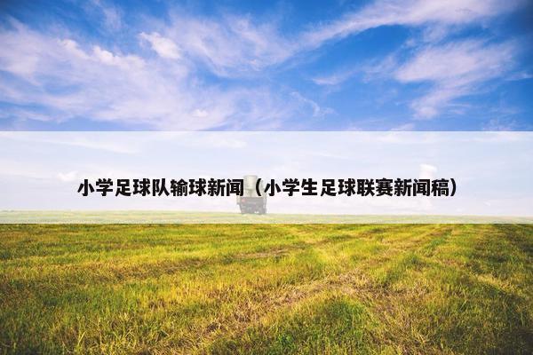 小学足球队输球新闻(小学生足球联赛新闻稿)