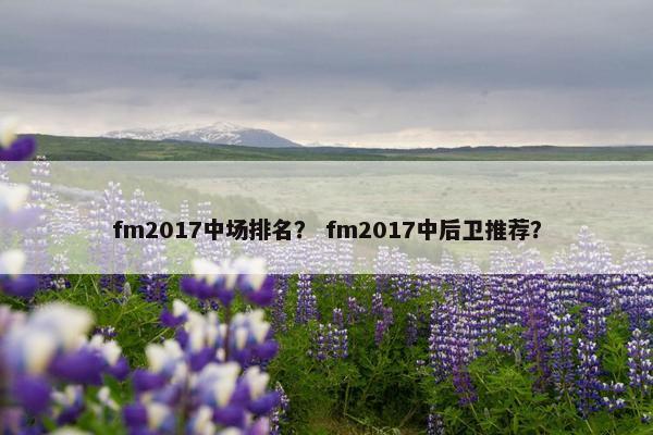 fm2017中场排名? fm2017中后卫推荐?