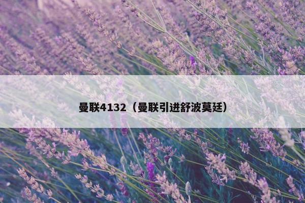 曼联4132（曼联引进舒波莫廷）