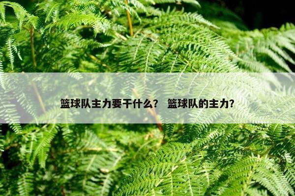 篮球队主力要干什么? 篮球队的主力?