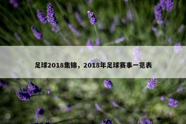 足球2018集锦，2018年足球赛事一览表