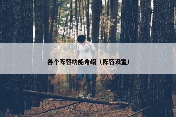 各个阵容功能介绍（阵容设置）