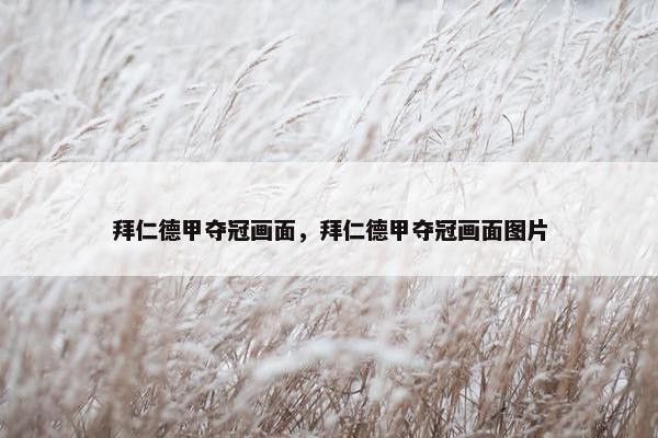 拜仁德甲夺冠画面，拜仁德甲夺冠画面图片